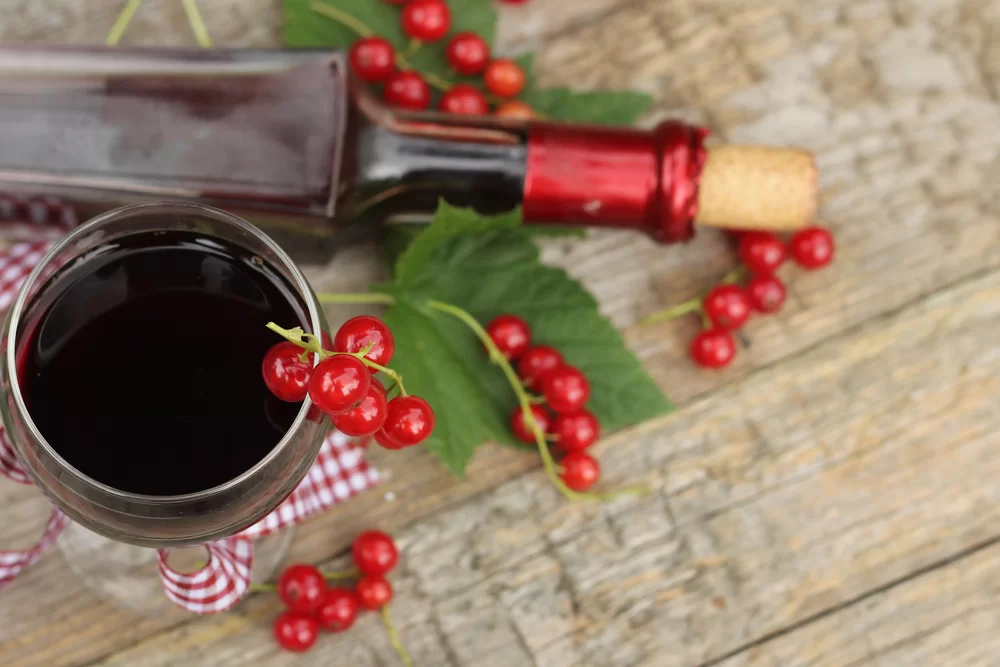 Domáce ríbezľové víno – viete ako na jeho prípravu?