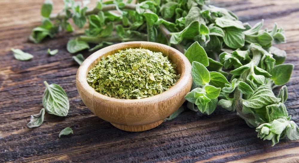 Oregano – do akého jedla ho využiť a aké má účinky?