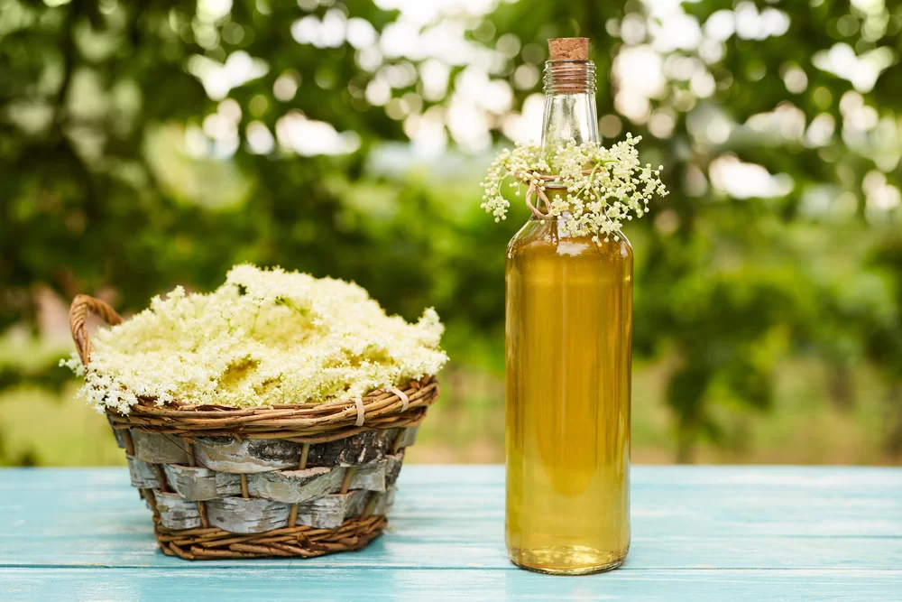 Bazový sirup – pripravte si sirup z voňavých kvietkov